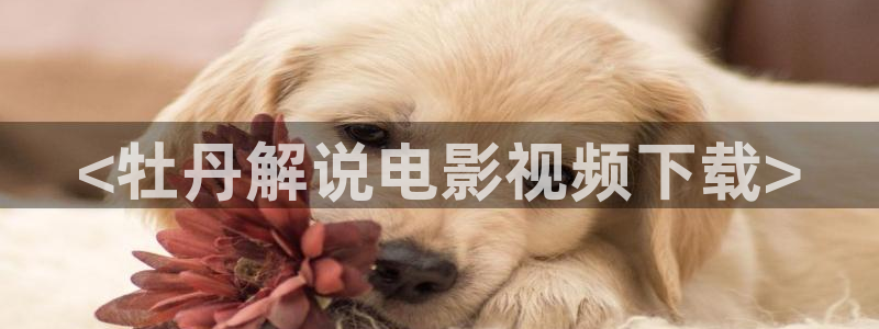 长相思第一季免费完整版在线观看星辰影院