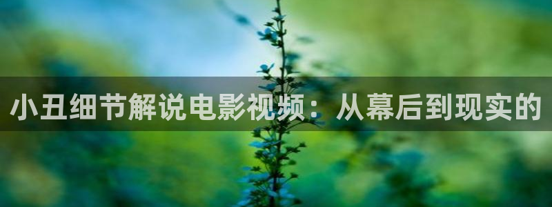 繁花第40集星辰影院在线观看