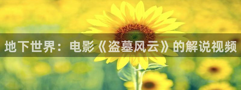 星辰影院在线播出