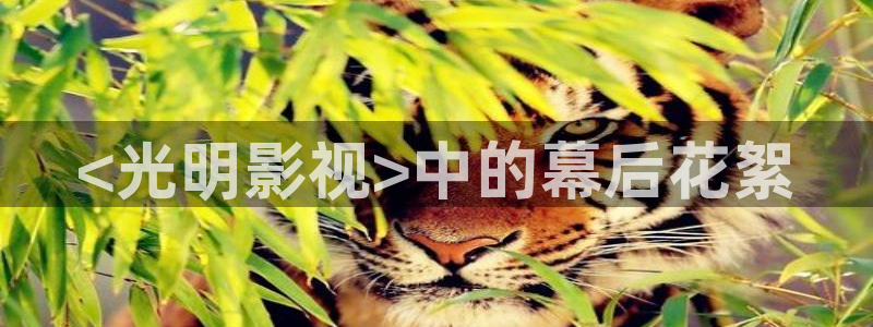 新闻图片