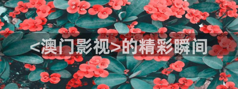 新闻图片